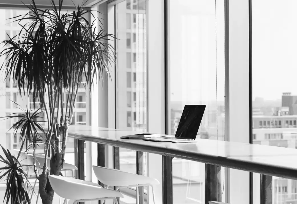 Escritorio junto a una ventana con plantas y un ordenador portátil encendido